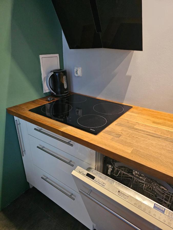Apartament Rodzinny - Calodobowe Zakwaterowanie, Bezplatny Parking Torun Exterior foto
